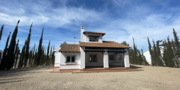New Build - Villa - Fuente alamo de Murcia