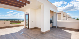 New Build - Villa - Los Montesinos - Los Montesinos Centro