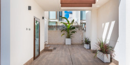 New Build - Villa - Los Montesinos - Los Montesinos Centro