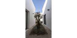New Build - Villa - Murcia - Altaona Golf and Country Club