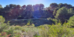 New Build - Villa - Pilar de la Horadada - Pinar de Campoverde