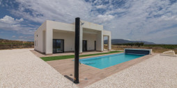 New Build - Villa - Pinoso - Campo