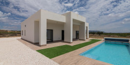 New Build - Villa - Pinoso - Campo