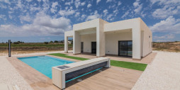 New Build - Villa - Pinoso - Campo