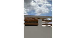 New Build - Villa - Pinoso - Casas Pastor