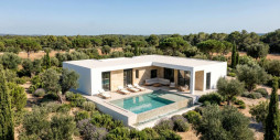 New Build - Villa - Pinoso - Casas Pastor