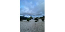 New Build - Villa - Pinoso - Casas Pastor