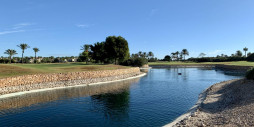 Nueva construcción  - Bungalow - San Javier - Roda Golf