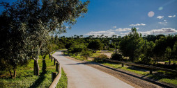 Nueva construcción  - Chalet - Rojales - Ciudad Quesada