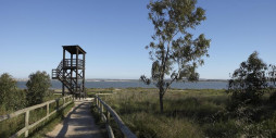 Nybygg - Bungalow - Torrevieja - Torrejón