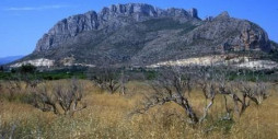 Nybygg - Leilighet / leilighet - El Verger - Zona De La Playa