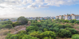 Nybygg - Leilighet / leilighet - Orihuela Costa - Playa Flamenca