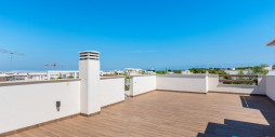 Nybygg - Leilighet / leilighet - Torrevieja - Torrevieja Centro