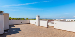 Nybygg - Leilighet / leilighet - Torrevieja - Torrevieja Centro