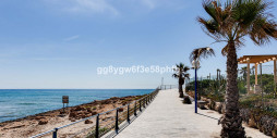 Nybygg - Villa - Orihuela Costa - La Zenia