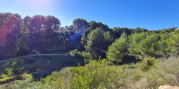Nybygg - Villa - Pilar de la Horadada - Pinar de Campoverde