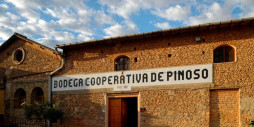 Nybygg - Villa - Pinoso - Campo