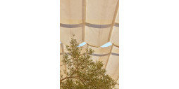 Nybyggnation - Lägenhet / lägenhet - l'Alfas del Pi - L'Alfás del Pi Centro