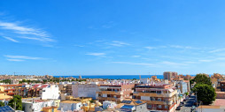 Nybyggnation - Lägenhet / lägenhet - Torrevieja - Torrevieja Centro