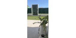 Nybyggnation - Villa - San Fulgencio - San Fulgencio Centro