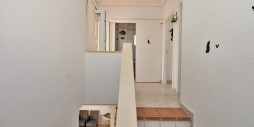 Resale - Apartment / flat - Playa Flamenca
