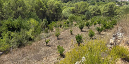 Resale - Land - Vall de Gallinera - Beniali