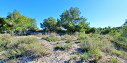 Resale - Plot / Land - San Miguel de Salinas