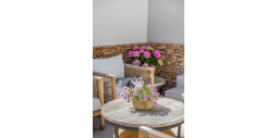Resale - Townhouse - Alicante - Playa San Juan