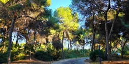 Resale - Villa - Dehesa de campoamor - Campoamor