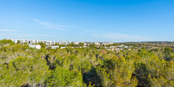 Resale - Villa - Las Colinas Golf Resort - Las Colinas golf