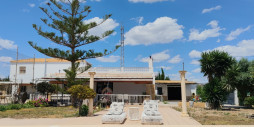 Resale - Villa - Los Montesinos - Los Montesinos Centro