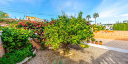 Resale - Villa - Orihuela Costa - Las Mimosas