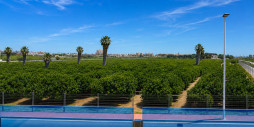 Reventa - Adosado - Orihuela Costa - Los Balcones