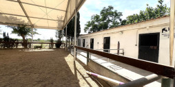 Reventa - Adosado - Orihuela Costa - Orihuela Centro