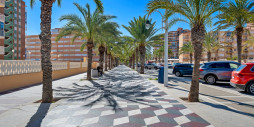 Reventa - Apartamento / piso - Arenales del Sol - Segunda linea playa