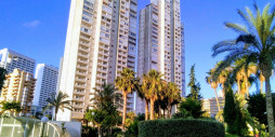 Reventa - Apartamento / piso - Benidorm - Benidorm Centro