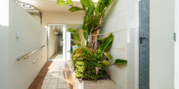 Reventa - Apartamento / piso - Guardamar del Segura - Puerto Deportivo