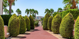 Reventa - Apartments - Orihuela Costa - Playa Flamenca