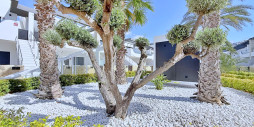 Reventa - Ático - Orihuela Costa - Punta Prima
