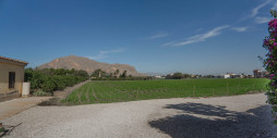 Reventa - Chalet - Orihuela Costa - San Bartolome