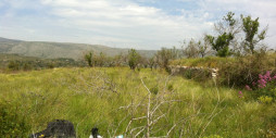Reventa - Land - Benissa - Benissa Centro