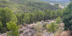 Reventa - Land - Callosa d'en Sarria - Callosa d'en Sarria Centro