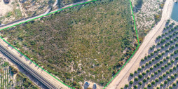 Reventa - Land - Crevillente - Crevillent - Crevillente - Crevillent Centro