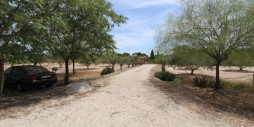 Reventa - Land - Elche - Elche Centro