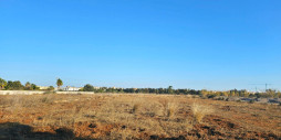 Reventa - Land - Els Poblets - Els Poblets Centro