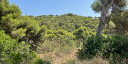 Reventa - Land - Jávea - Jávea - Xàbia Centro