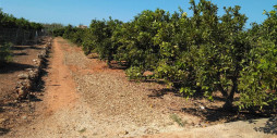 Reventa - Land - Ondara - Ondara Centro