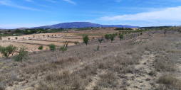 Reventa - Land - Pinoso - Pinoso Centro