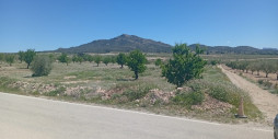 Reventa - Land - Salinas - Salinas Centro