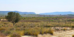 Reventa - Land - San Miguel de Salinas - San Miguel de Salinas Centro